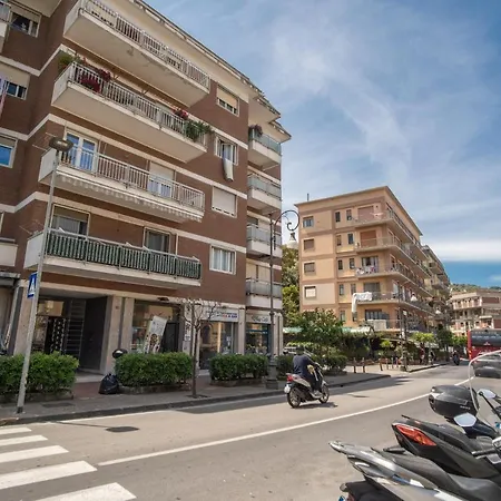 Baccus Sorrento
